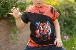 Feliformia Tiger